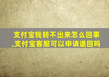 支付宝钱转不出来怎么回事,支付宝客服可以申请退回吗