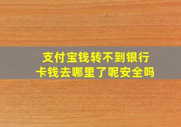 支付宝钱转不到银行卡钱去哪里了呢安全吗