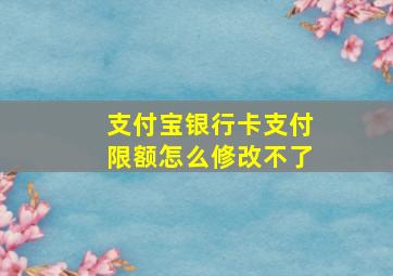 支付宝银行卡支付限额怎么修改不了