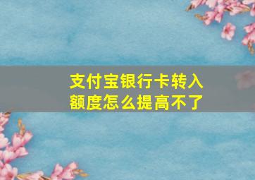 支付宝银行卡转入额度怎么提高不了