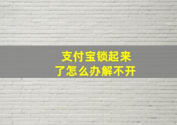 支付宝锁起来了怎么办解不开