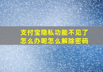 支付宝隐私功能不见了怎么办呢怎么解除密码