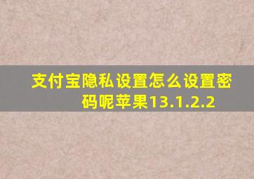 支付宝隐私设置怎么设置密码呢苹果13.1.2.2