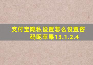 支付宝隐私设置怎么设置密码呢苹果13.1.2.4