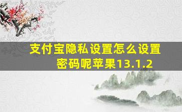 支付宝隐私设置怎么设置密码呢苹果13.1.2