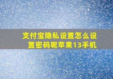 支付宝隐私设置怎么设置密码呢苹果13手机