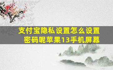 支付宝隐私设置怎么设置密码呢苹果13手机屏幕