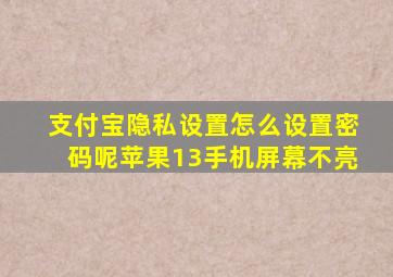 支付宝隐私设置怎么设置密码呢苹果13手机屏幕不亮