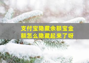 支付宝隐藏余额宝金额怎么隐藏起来了呀