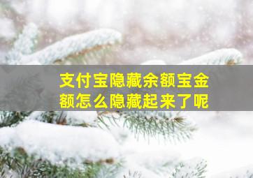 支付宝隐藏余额宝金额怎么隐藏起来了呢