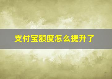 支付宝额度怎么提升了