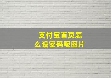 支付宝首页怎么设密码呢图片