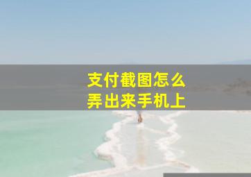 支付截图怎么弄出来手机上