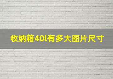 收纳箱40l有多大图片尺寸