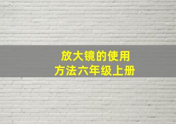 放大镜的使用方法六年级上册