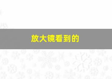 放大镜看到的