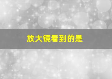 放大镜看到的是