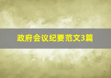 政府会议纪要范文3篇