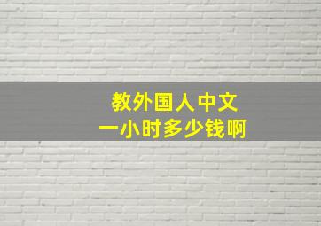 教外国人中文一小时多少钱啊