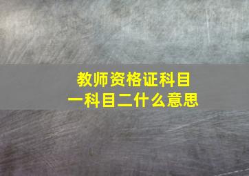 教师资格证科目一科目二什么意思