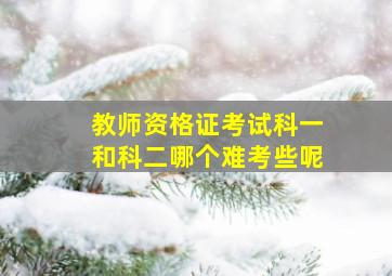 教师资格证考试科一和科二哪个难考些呢