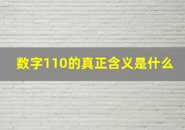 数字110的真正含义是什么