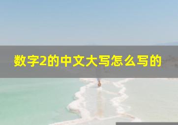 数字2的中文大写怎么写的