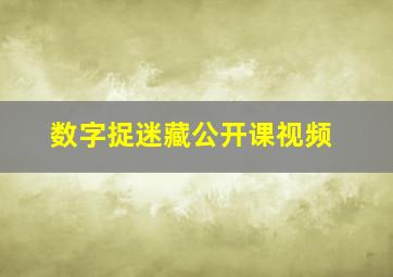 数字捉迷藏公开课视频