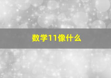 数学11像什么