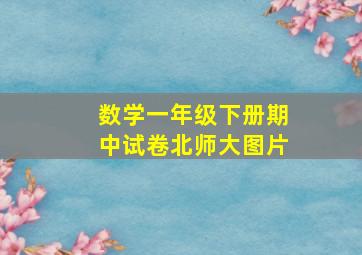 数学一年级下册期中试卷北师大图片