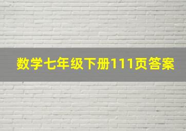 数学七年级下册111页答案