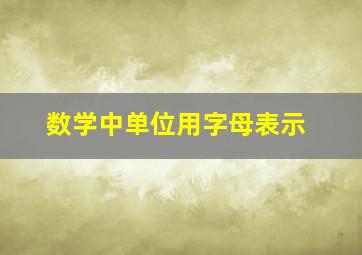 数学中单位用字母表示