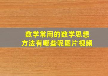 数学常用的数学思想方法有哪些呢图片视频