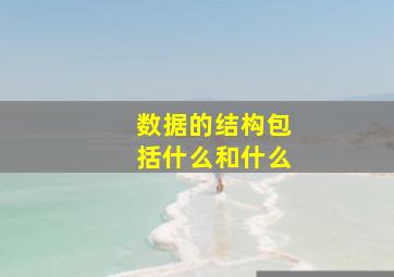 数据的结构包括什么和什么