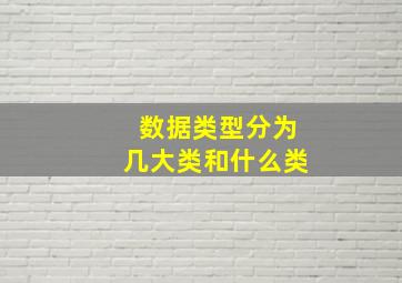 数据类型分为几大类和什么类