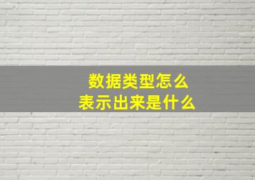 数据类型怎么表示出来是什么