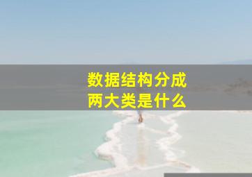 数据结构分成两大类是什么