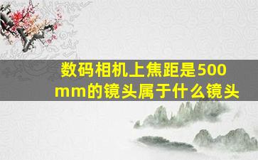 数码相机上焦距是500mm的镜头属于什么镜头