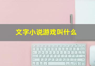 文字小说游戏叫什么