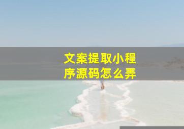 文案提取小程序源码怎么弄