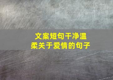 文案短句干净温柔关于爱情的句子