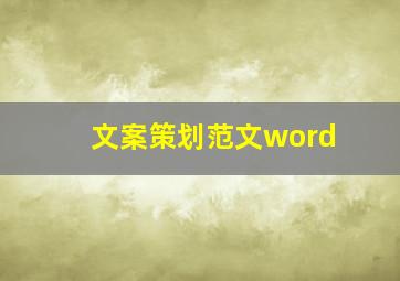 文案策划范文word