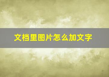 文档里图片怎么加文字