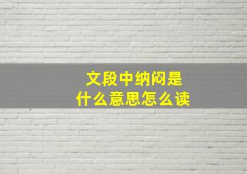 文段中纳闷是什么意思怎么读