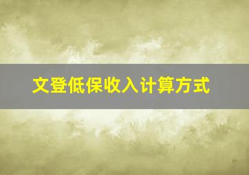 文登低保收入计算方式