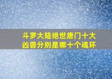 斗罗大陆绝世唐门十大凶兽分别是哪十个魂环