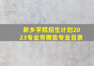 新乡学院招生计划2023专业有哪些专业目录