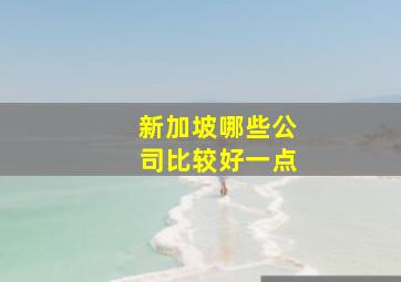 新加坡哪些公司比较好一点