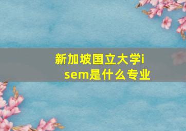 新加坡国立大学isem是什么专业