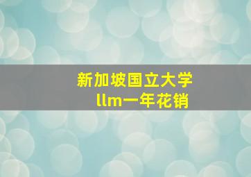 新加坡国立大学llm一年花销